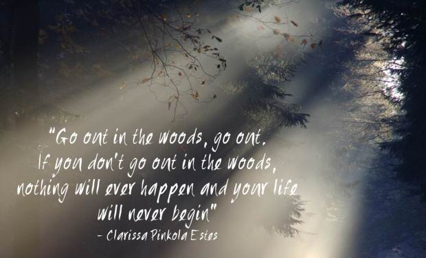go out into the woods
